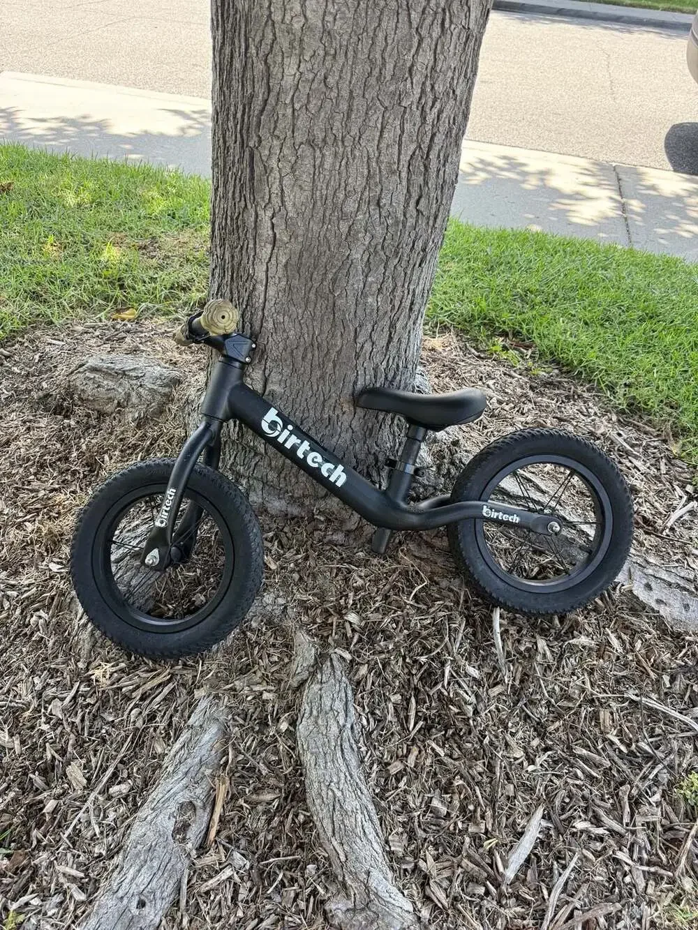 Birtech 12 Inch Kids Balance Bike with Air Tires